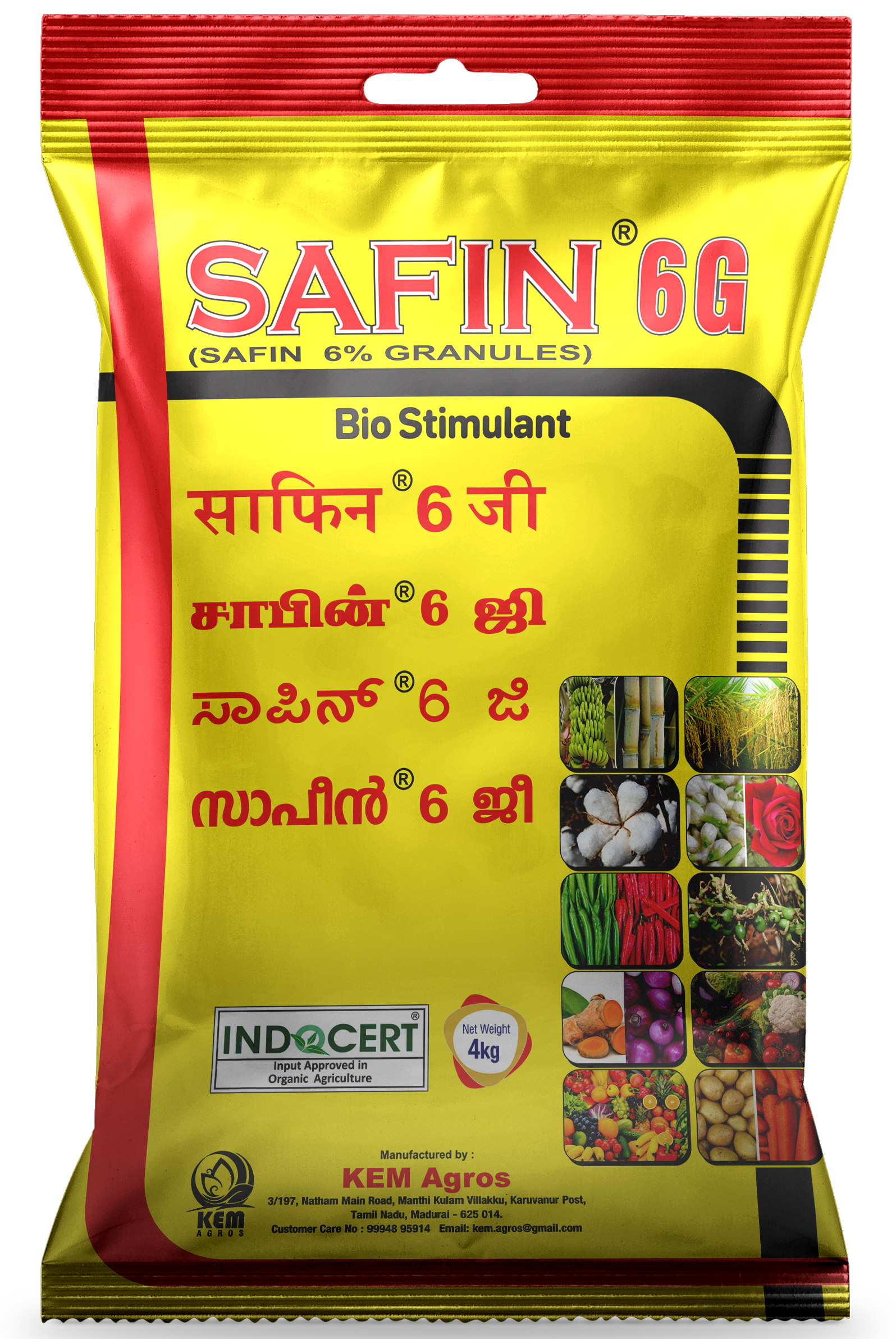 SAFIN 6G